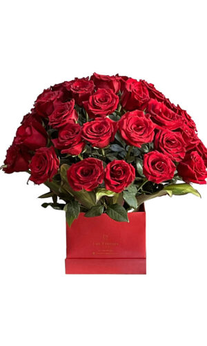 CAJA DE 36 ROSAS ROJAS