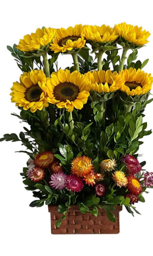 GIRASOL EN 2 NIVELES CON PAPELILLO